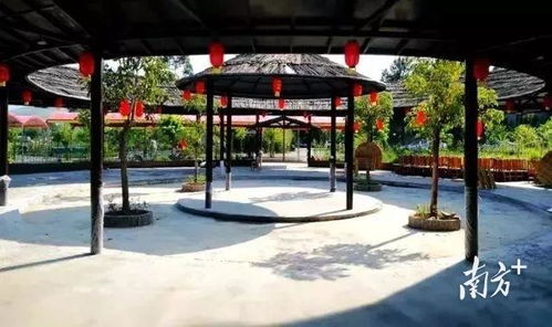 連平生態園種植基地巡禮②麒麟山生態園種出農旅融合好 豐 景