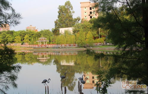 夕陽(yáng)照在龔州湖上