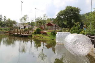 釣魚(yú) 看龜 摘水果 吃清蒸葡萄雞 這個(gè)秋天一定要去這里秋游