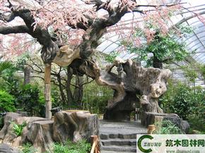 生態(tài)園假樹 co土木在線