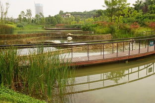 天府新區的鹿溪河生態園
