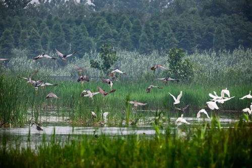 五一休閑游 濕地 田園 美食 3條康養精品線路送上