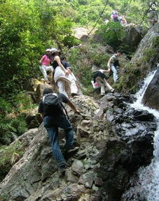 牢記這7點(diǎn)秋季減肥不反彈，助你練就馬甲線人魚線